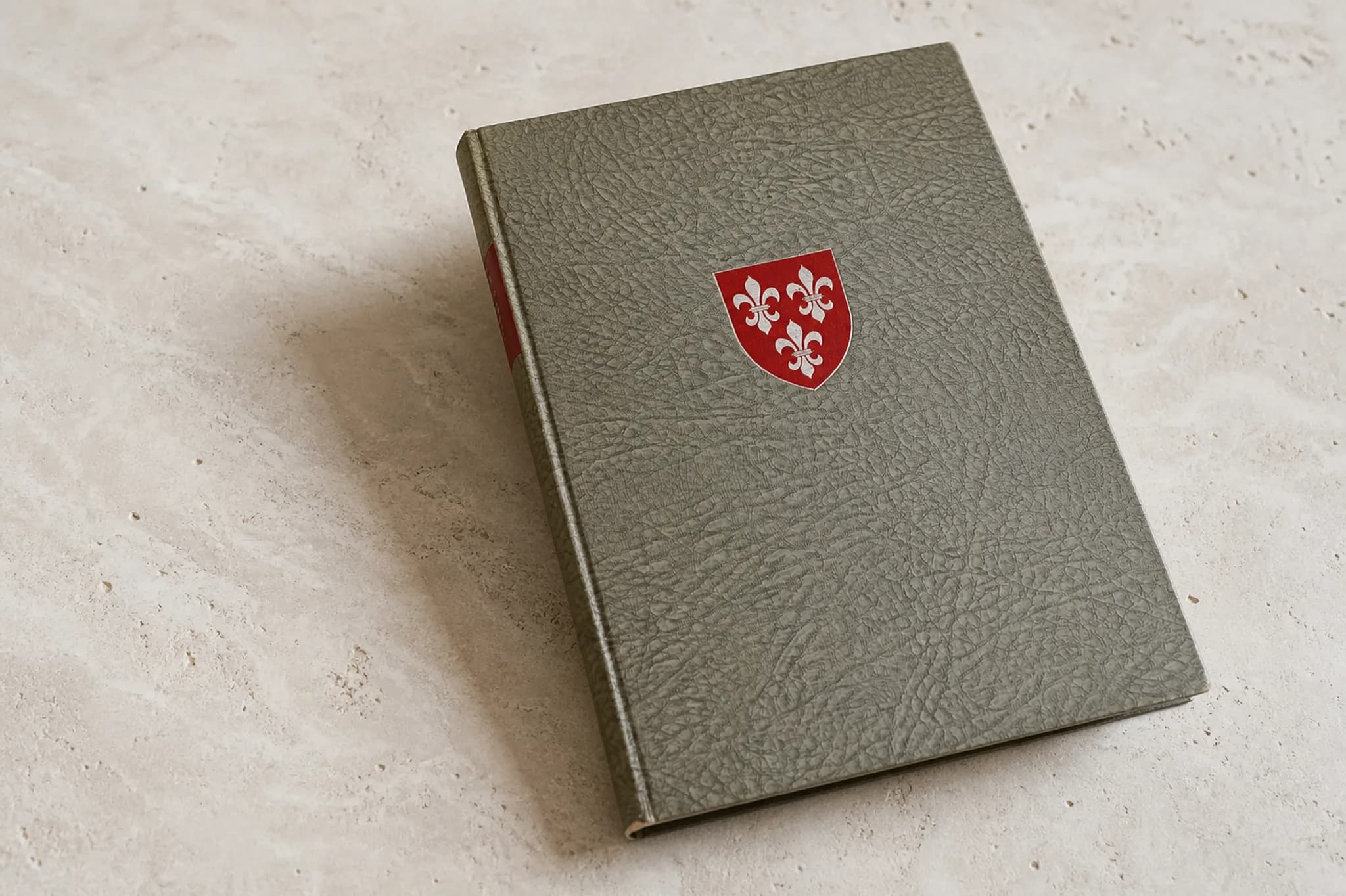 Grey textured copy of Die Gilgen von Rüeggisberg with its red coat of arms on an archival surface