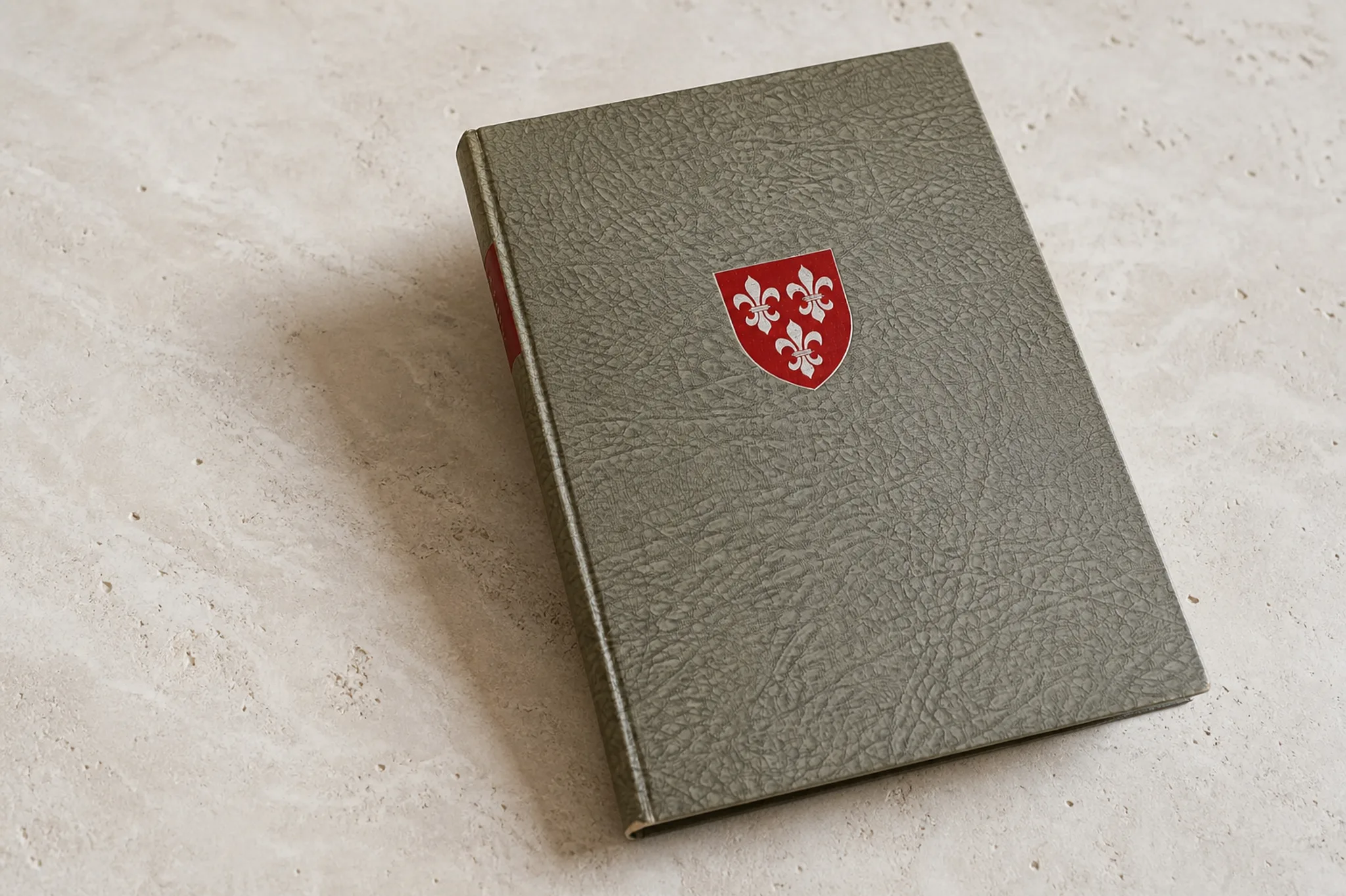 Grey textured copy of Die Gilgen von Rüeggisberg with its red coat of arms on an archival surface